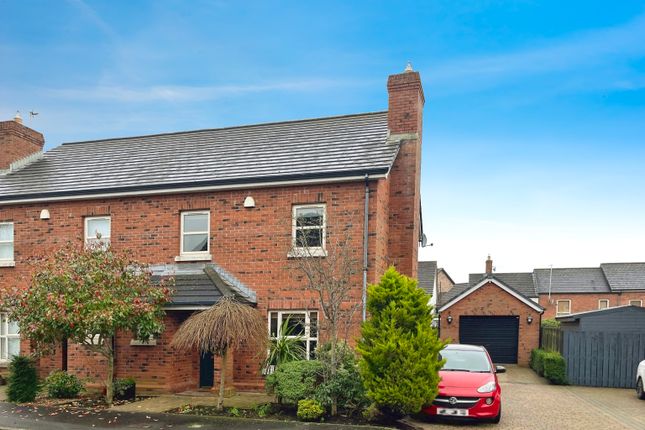 Thumbnail Semi-detached house to rent in Lady Wallace Gardens, Lisburn