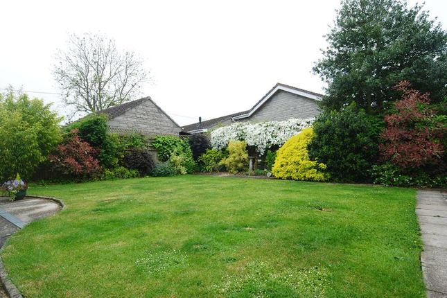 Detached bungalow for sale in Hillway, Charlton Mackrell, Somerton