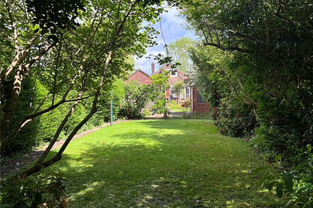 Thumbnail Bungalow for sale in Poyle Road, Tongham, Surrey