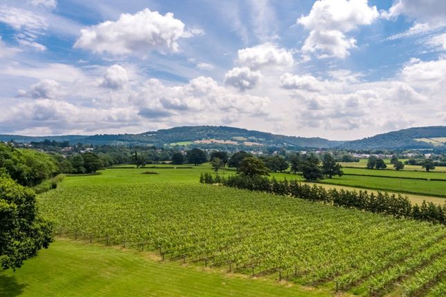 Thumbnail Property for sale in Ancre Hill Vineyard (Lot 1), Ancre Hill, Monmouth