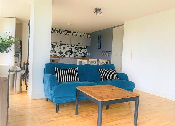 Spacious And Modern One-Bedroom Apartment