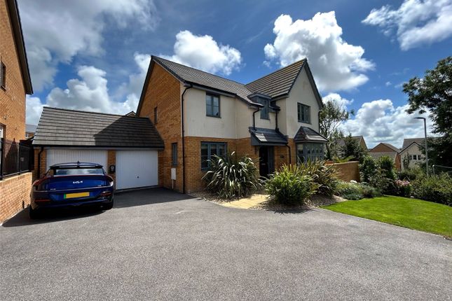 Thumbnail Detached house for sale in Sanderling Close, Bude