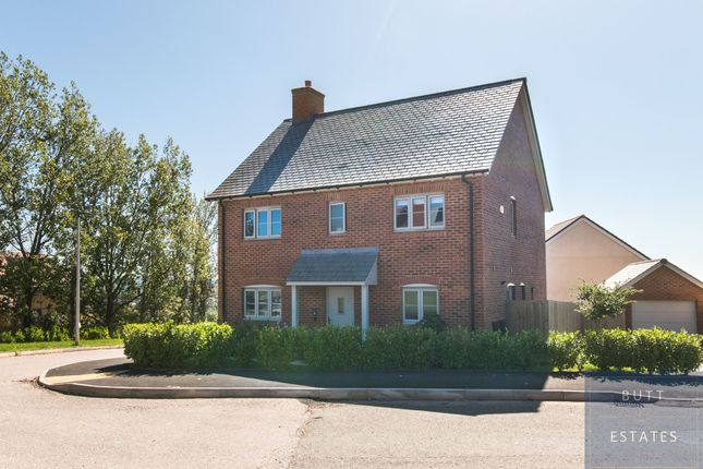 Thumbnail Detached house for sale in Jersey Road, Exeter