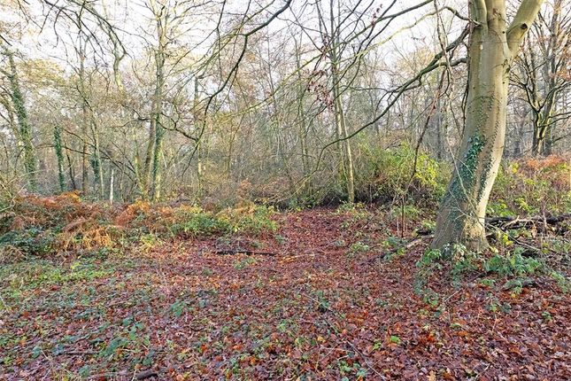 Thumbnail Land for sale in Redhill Road, Cobham
