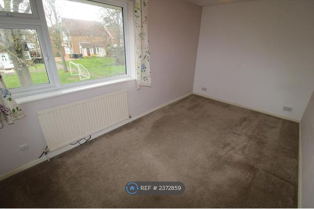 Newport Pagnell, Milton Keynes photo 5