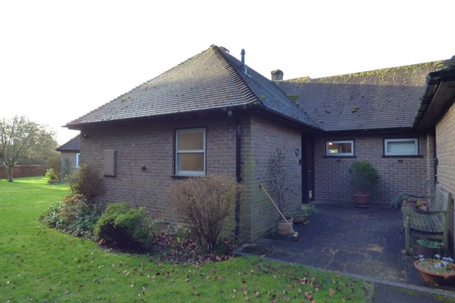 Thumbnail Detached bungalow to rent in Headbourne Worthy, Winchester, Hampshire