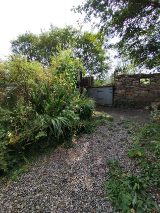 Garden Area