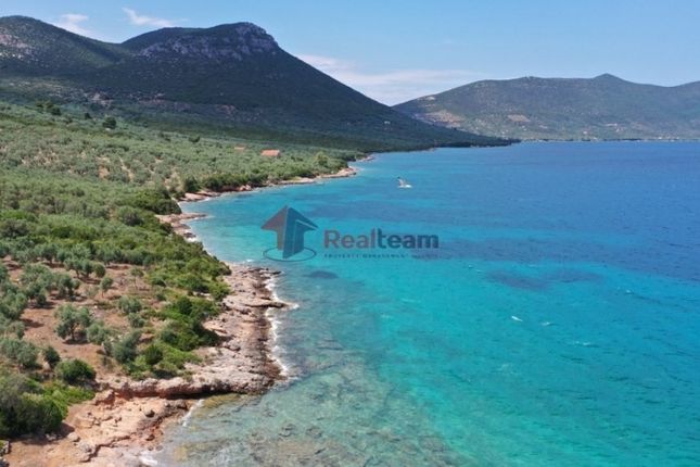 Land for sale in Pteleos 370 07, Greece