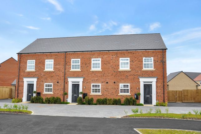 Terraced house for sale in "The Eveleigh" at Grange Lane, Littleport, Ely