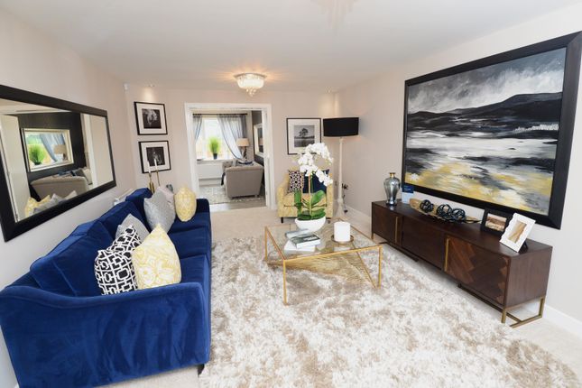 Showhome Photography