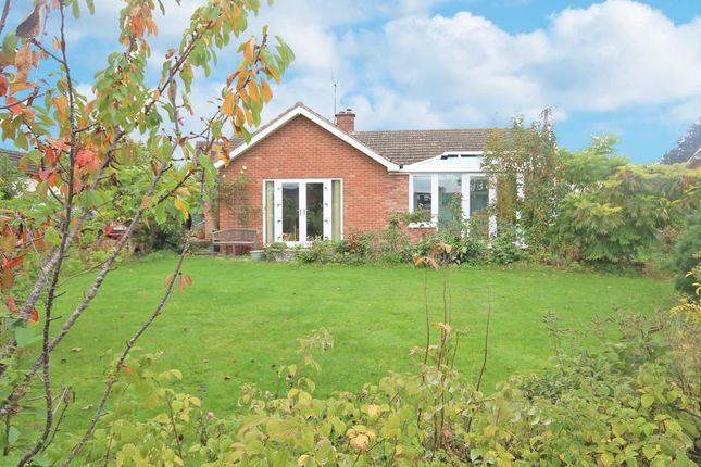 Thumbnail Detached bungalow for sale in Church Road, Clehonger, Hereford