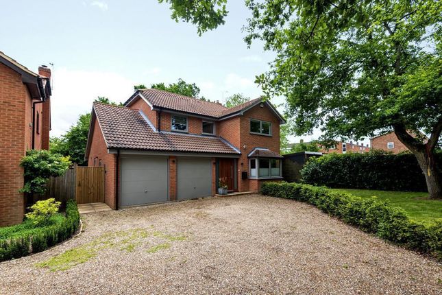Thumbnail Detached house to rent in The Spinney, Waltham Road, Twyford, Berkshire