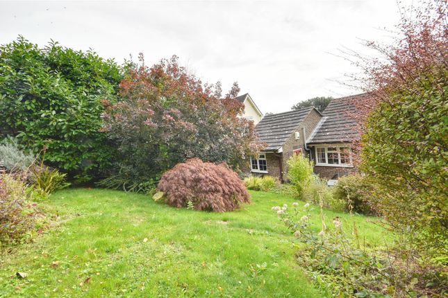 Detached bungalow for sale in Military Road, Rye