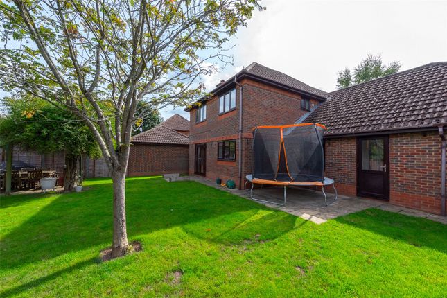 Thumbnail Detached house for sale in The Mews, Bramley, Tadley, Hampshire