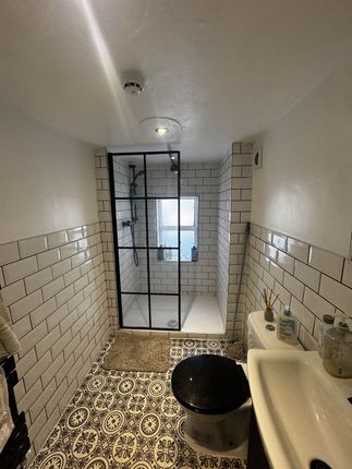 Wdlndrdbrknhdimg_1550.Jpg