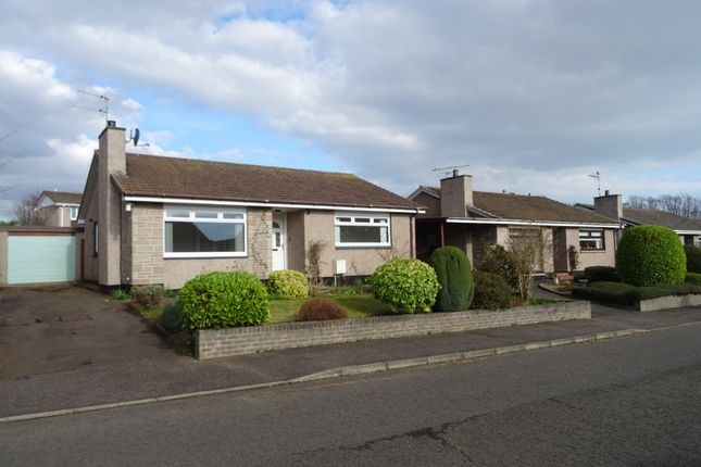 Bungalow to rent in Malcolm Crescent, Monifieth, Angus