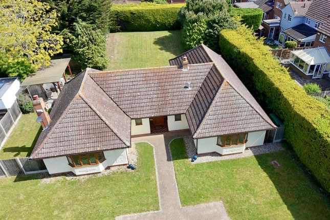 19A, Audley Road, Chelmsford photo 4