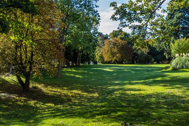 Grounds