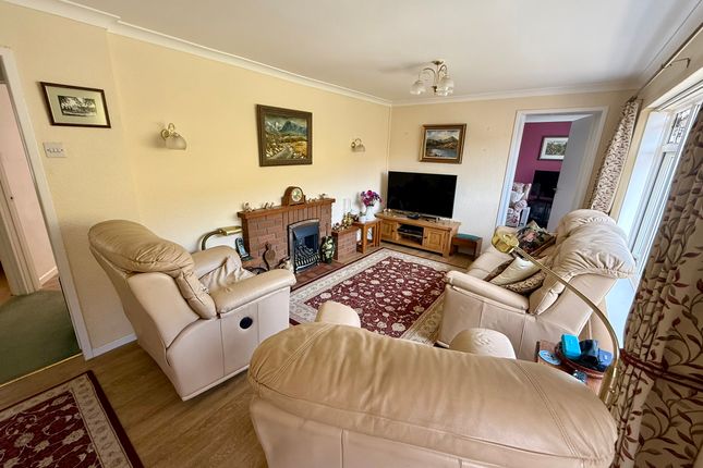 Murmur y Nant, Llanafan photo 3