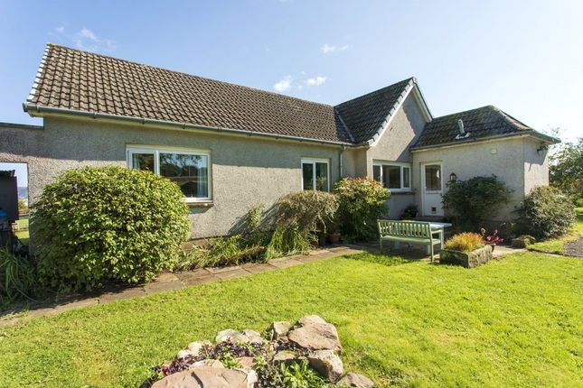 Thumbnail Bungalow for sale in Kinross, Perthshire