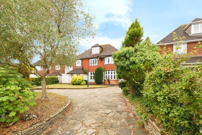 The Property