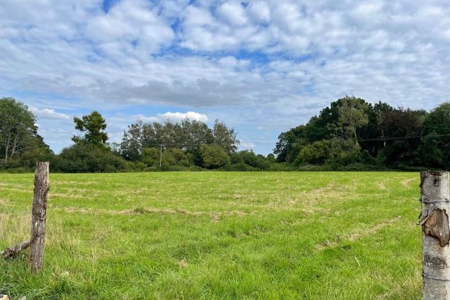 Land for sale in Kings Lane, Coldwaltham, Pulborough