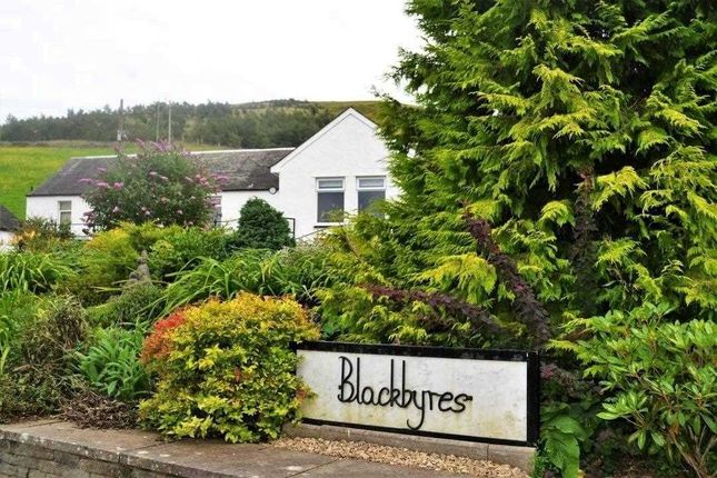 Bungalow for sale in Blackbyres Cottage, Pyatknowe, Biggar