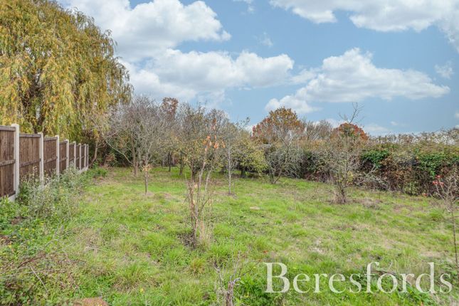 Ivydene,, Layer Breton Hill, Colchester photo 4