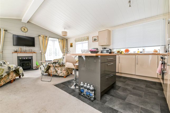 26, Amberwood, Downton photo 3