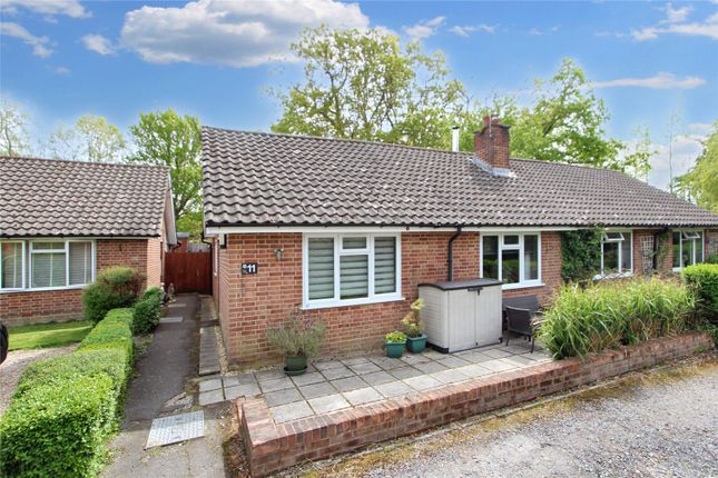 Thumbnail Bungalow for sale in Nine Acres, Steep Marsh, Petersfield, Hampshire