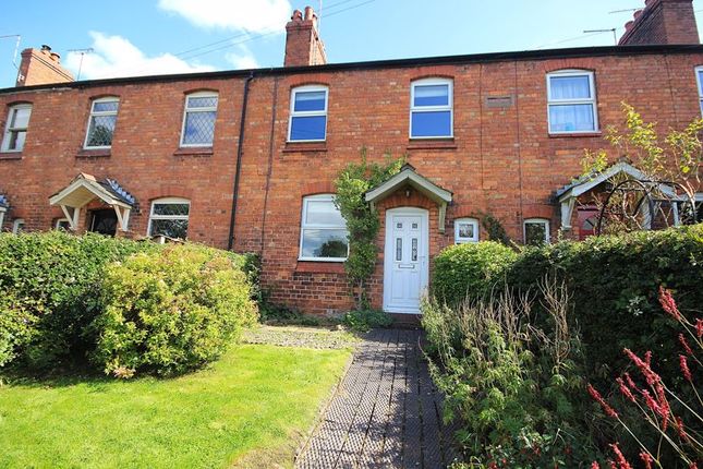 Thumbnail Terraced house for sale in Holly Terrace, Tilston, Malpas