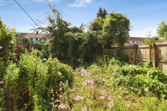 28, Arnold Avenue, Cardiff photo 4