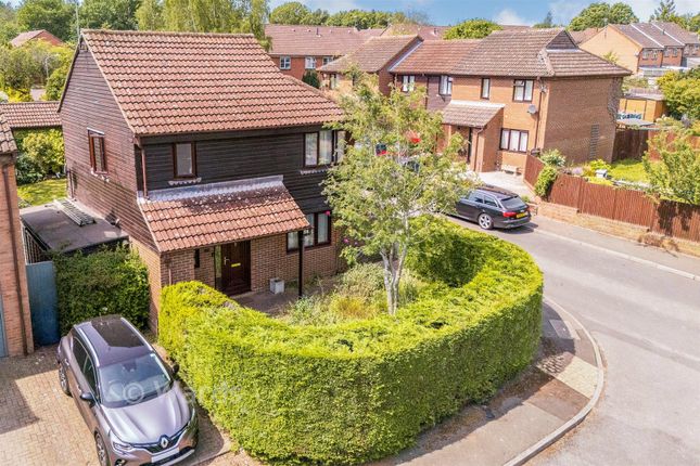 21, Turner Avenue, Cranbrook photo 4