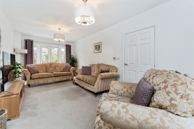 43, Lily Avenue, March photo 4