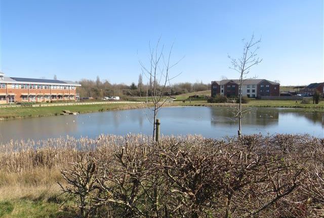 Unknown, Milton Keynes photo 2
