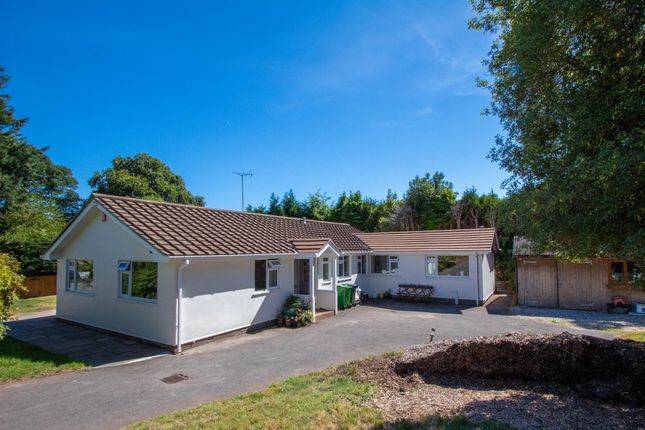 Thumbnail Bungalow for sale in West Hill Road, West Hill, Ottery St. Mary