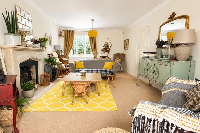 11, Pilgrims Way, Hastings photo 3