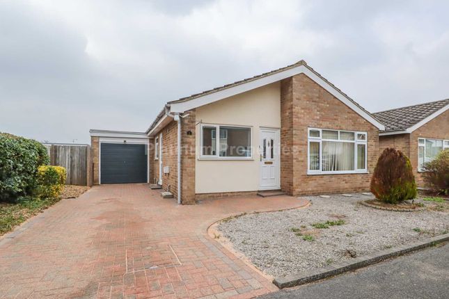 Detached bungalow to rent in Wheats Close, Witchford CB6