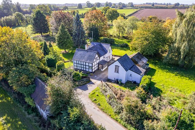 Dji_0543 (1)-Edit.Jpg