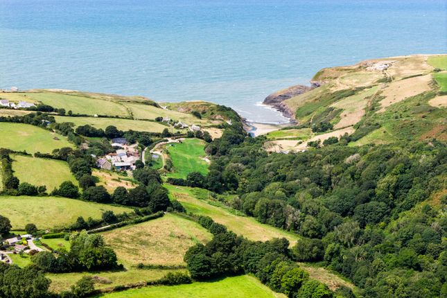 Yr Ydlan, Cardigan photo 2