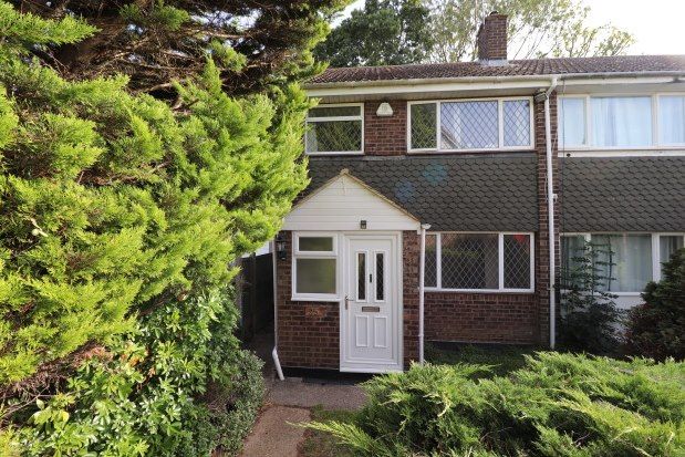 Thumbnail Semi-detached house to rent in Wistaria Close, Brentwood