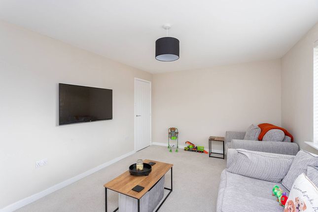 Lawder Gardens, Glenrothes photo 4