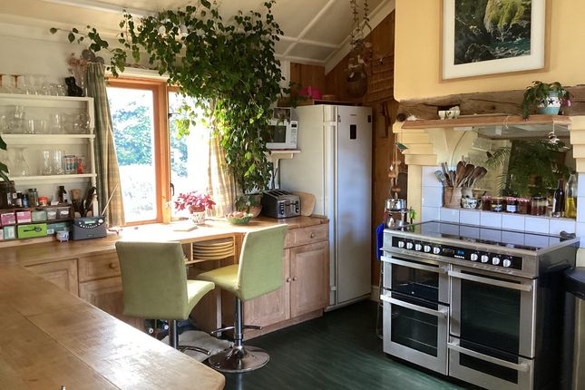 The Summerhouse, Winterborne Monkton, Winterborne Monkton photo 5