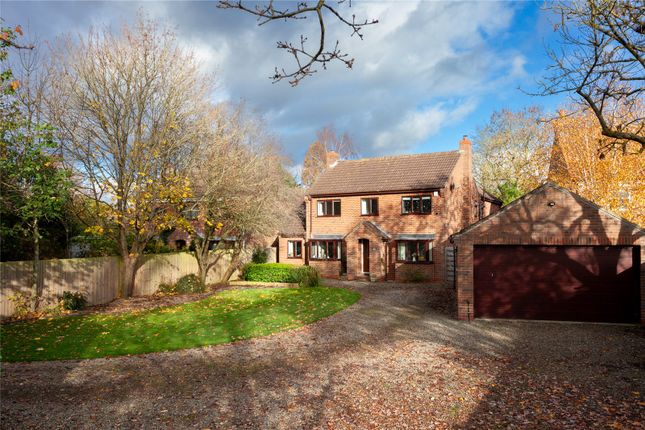 Thumbnail Detached house for sale in Flaxton, York