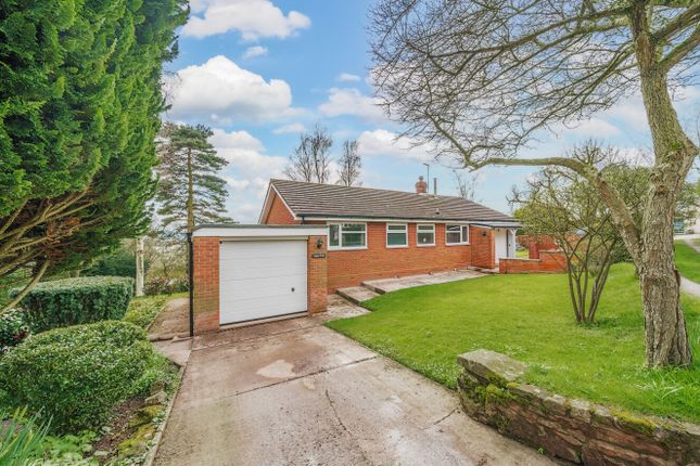 Thumbnail Detached bungalow for sale in Little Birch, Hereford, Herefordshire