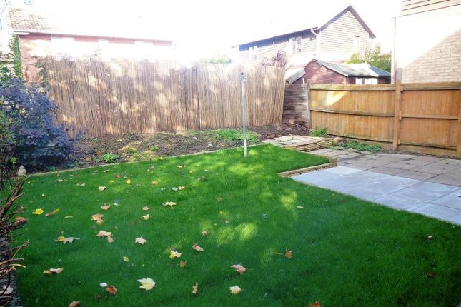 4, Peterborough photo 3