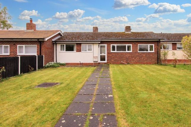 Thumbnail Semi-detached bungalow for sale in May Close, Old Basing, Basingstoke