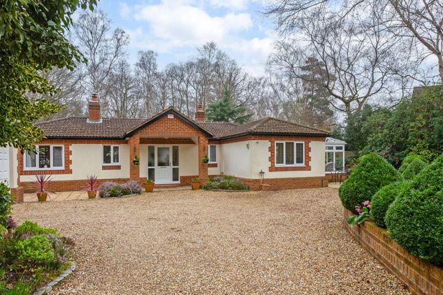 Detached bungalow for sale in Prince Albert Drive, Ascot