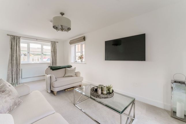 10 Stephenson Avenue, Howden photo 3