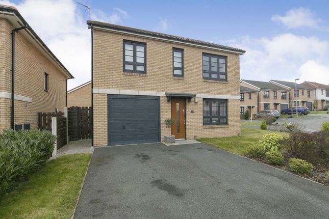 Thumbnail Detached house for sale in Bentley Avenue, Buckley